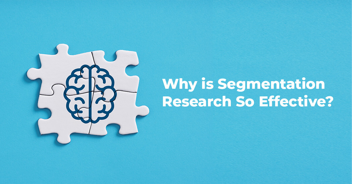 Why is Segmentation Research So Effective